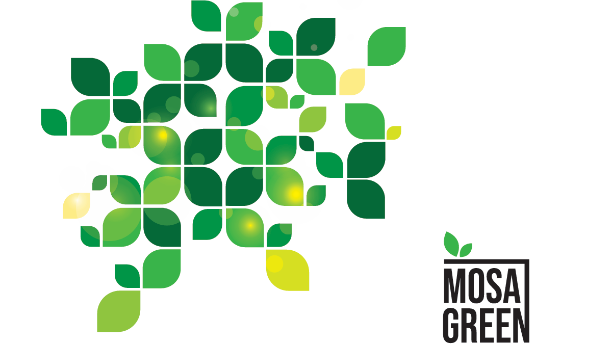 Mosagreen presenta su catálogo con soluciones sostenibles y de alta calidad para la construcción y el diseño.png